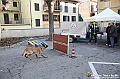 VBS_5376 - In ricordo dell'alluvione del 1994 nel trentennale